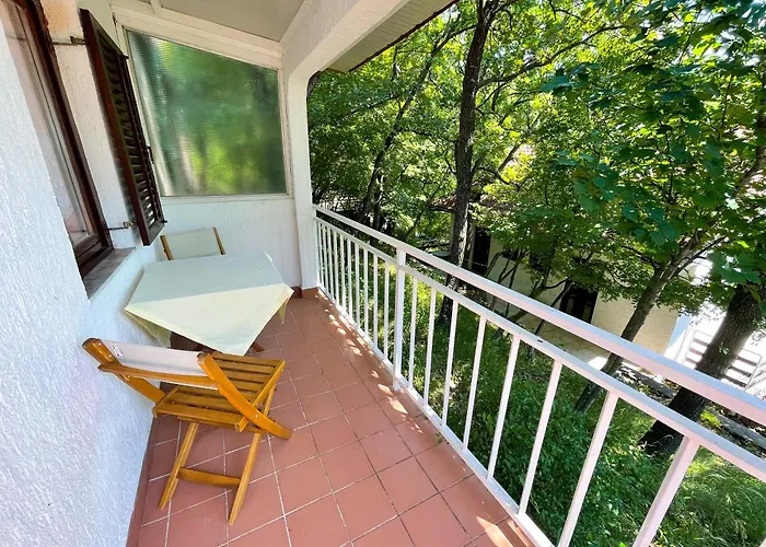 Saric * 卓得诺沃